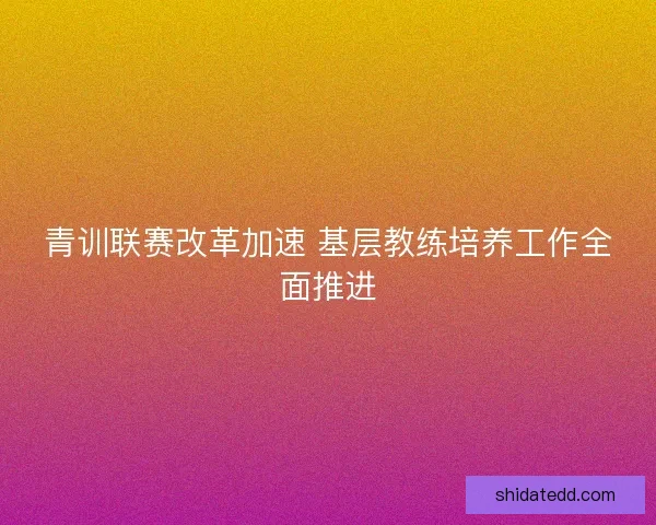 青训联赛改革加速 基层教练培养工作全面推进 青训联赛改革加速 基层教练培养工作全面推进