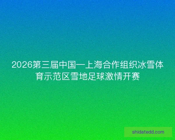 2026第三届中国—上海合作组织冰雪体育示范区雪地足球激情开赛 2026第三届中国—上海合作组织冰雪体育示范区雪地足球激情开赛
