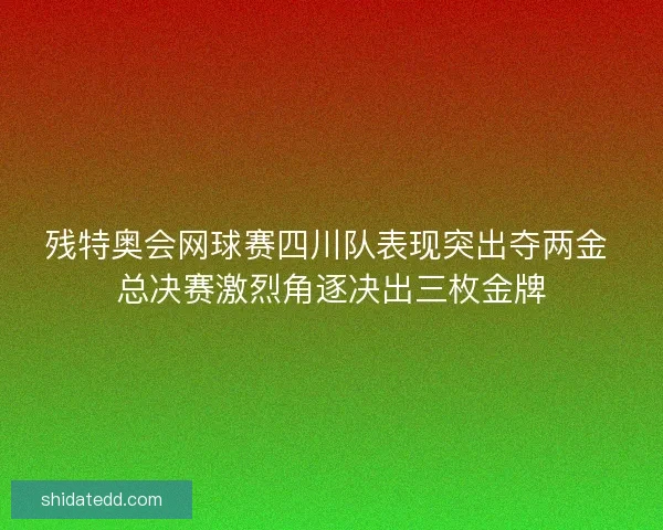 残特奥会网球赛四川队表现突出夺两金 总决赛激烈角逐决出三枚金牌 残特奥会网球赛四川队表现突出夺两金 总决赛激烈角逐决出三枚金牌