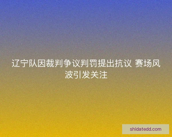 辽宁队因裁判争议判罚提出抗议 赛场风波引发关注